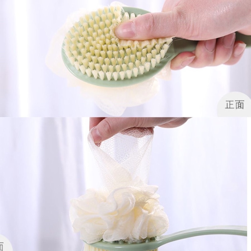 Cây cọ lưng hai đầu