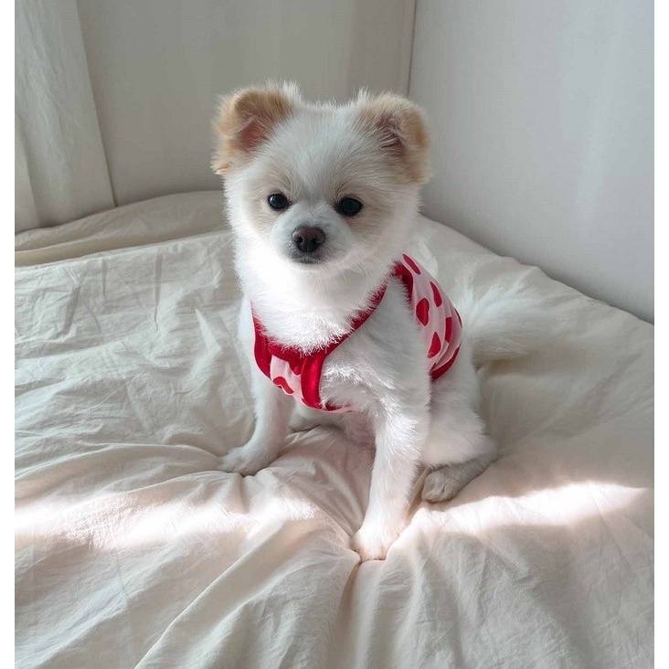 ÁO 2 DÂY TRÁI TIM SIÊU CUTE MÁT MẺ MÙA HÈ CHO THÚ CƯNG
