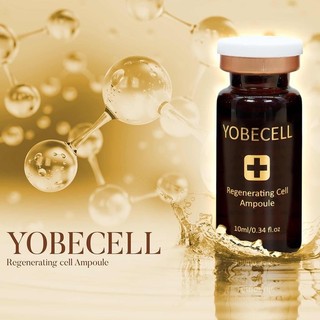 [ Chính Hãng ] Tinh Chất Tế Bào Gốc Yobe Cell - YobeCell