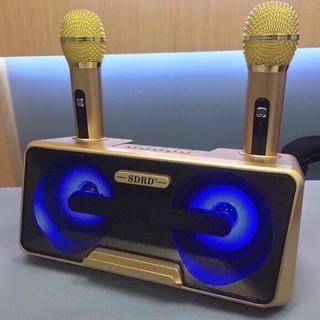 Loa Karaoke Bluetooth Mini,Có Đèn Led.Tặng Kèm 2 Micro Không Dây,Chỉnh Echo Volume Trên Micro Tiện Lợi