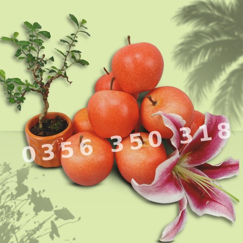 Trái Táo Tròn Giả  mô hình Việt Nam công nghệ Thái Lan GIỐNG THẬT 99%- Dùng trang trí nhà, hàng quán
