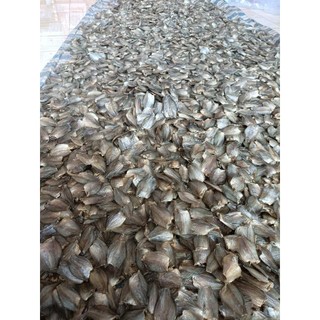 khô sặc đồng ( sặc bướm) hàng loại 1