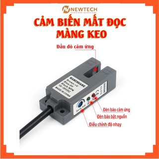 Linh kiện máy ép ly Newtech