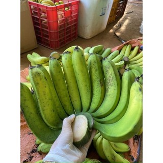 Trái cây tươi ĐÀ LẠT - Chuối Laba Đà Lạt - Bơ 034