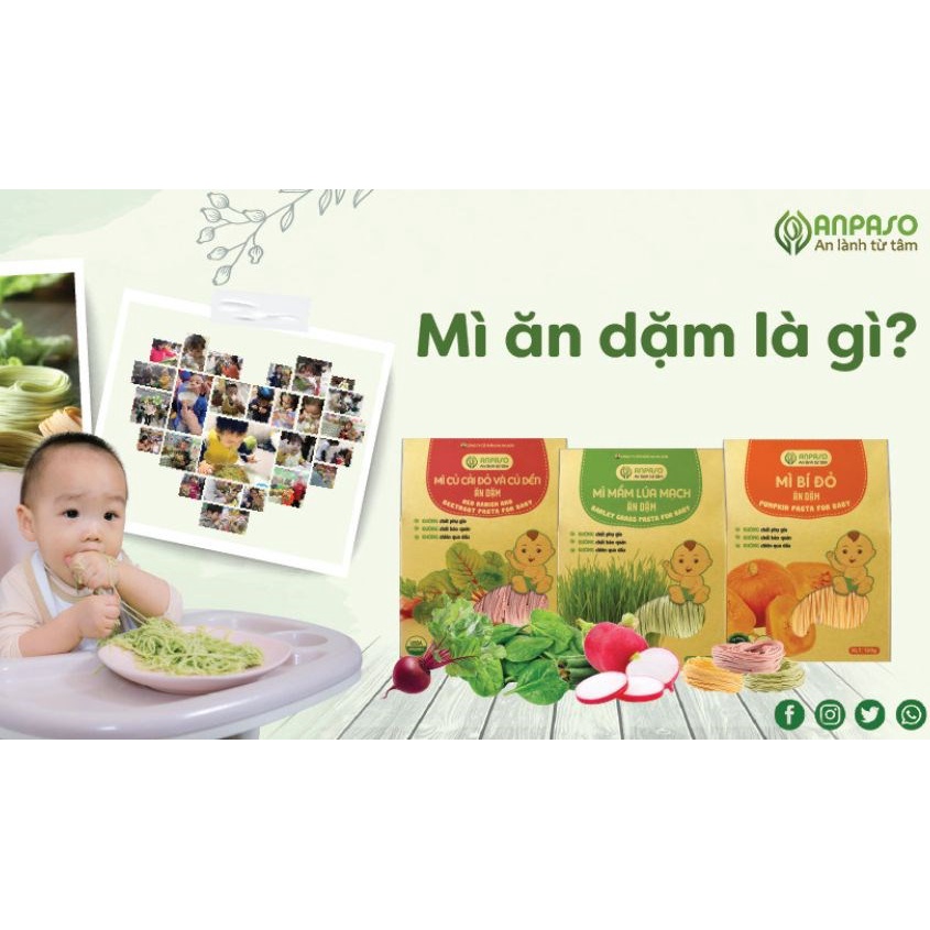 Mì bí đỏ ăn dặm nguyên chất Anpaso - Xanhsam Organic
