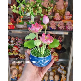 Chậu hoa sen bằng đất sét Nhật 20cm