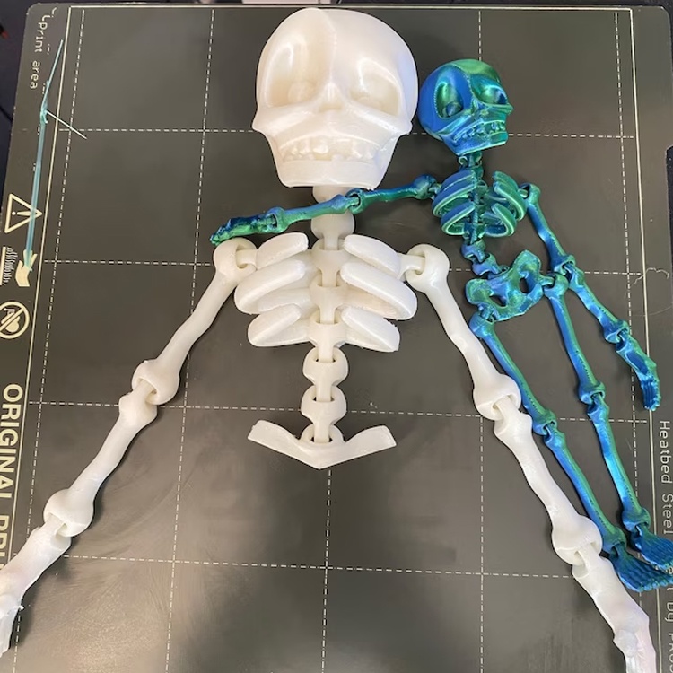 Đồ chơi bộ xương halloween cute vui tính giải trí dễ thương - in 3d thủ công - đồ chơi cho trẻ con đáng yêu nhiều màu