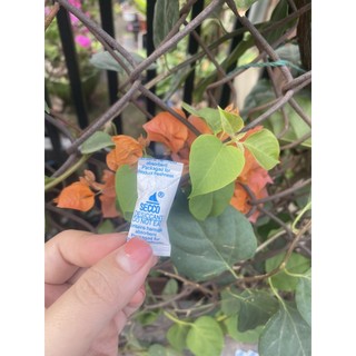 Combo 100/200/300 gói hút ẩm 1g,2g