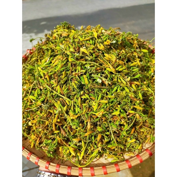 500g Hoa Đu Đủ Đực Sấy Lạnh