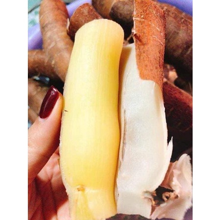 ] 5 KG CỦ KHOAI MÌ RUỘT VÀNG DẺO THÁI LAN