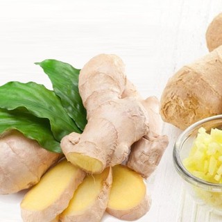 1kg củ gừng tươi - dược liệu tuấn phát