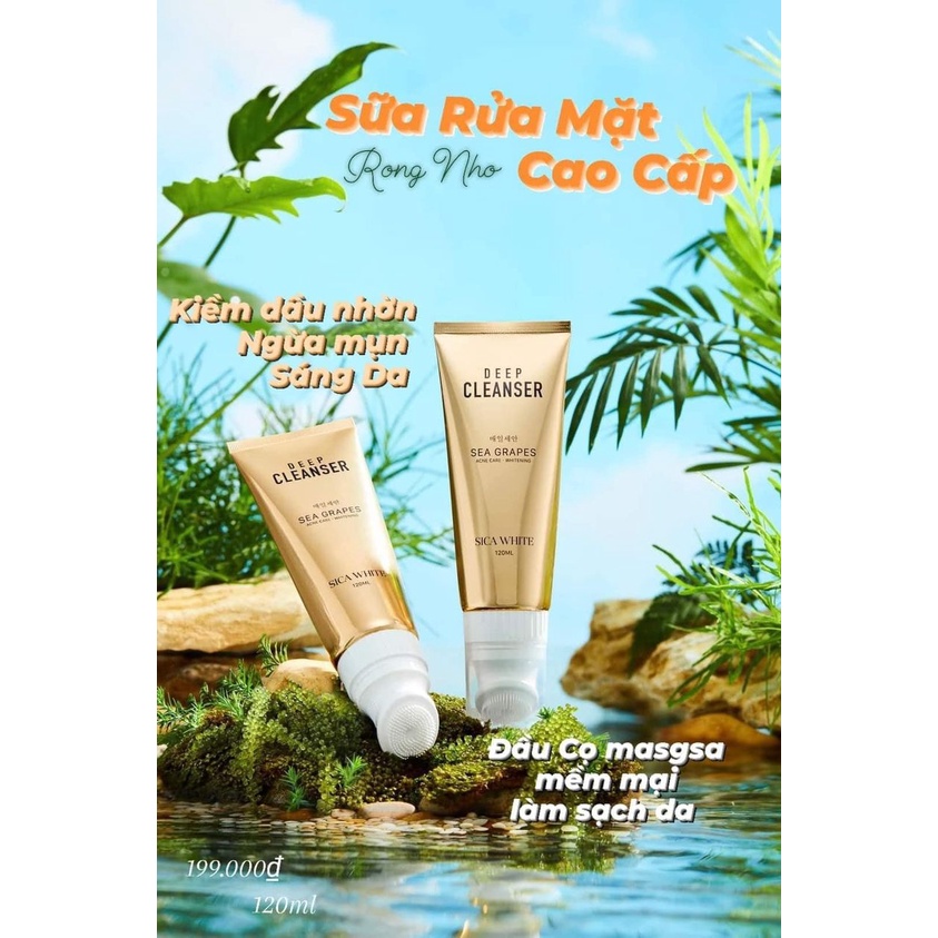 Sữa Rửa Mặt Sica White, CLEANSER SICA