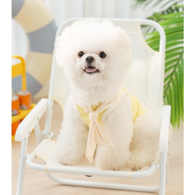 ÁO GẤU CHEESE VÀNG CỔ THỦY THỦ MÁT MẺ THOÁNG KHÍ SIÊU XINH XẮN MÙA HÈ CHO THÚ CƯNG