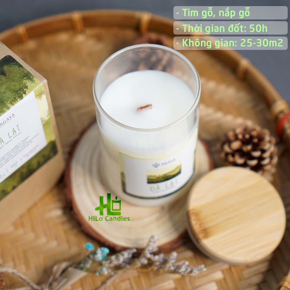 Nến Thơm Candle Cup / AGAYA Cup