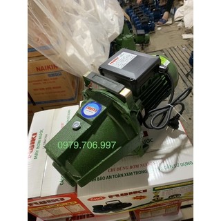 Máy bơm Lợn Jet150 Fujiki 950w ( Chính Hãng)