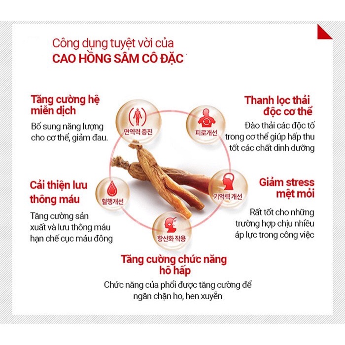 Cao Hồng Sâm Hũ Đôi Hoàng Đế Hoàng Hậu Achimmadang Hàn Quốc