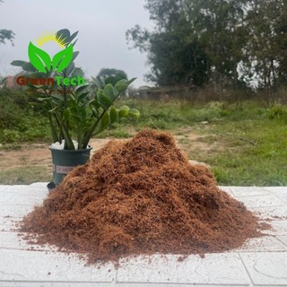1kg Mùn Xơ Dừa Trồng Cây, Ray, Giống
