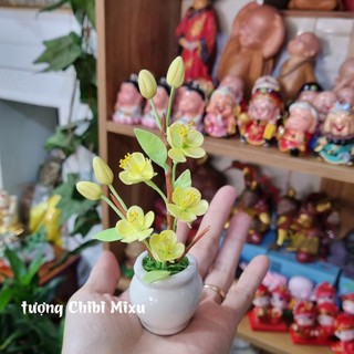 Chậu hoa mai 5 cánh bằng đất sét Nhật cao cấp