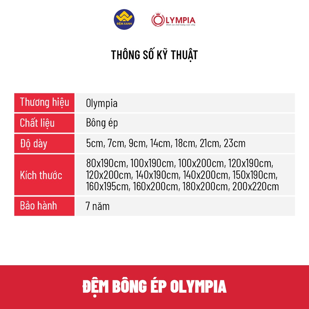 Đệm bông ép Olympia Platium - Hàng chính hãng bảo hành 7 năm