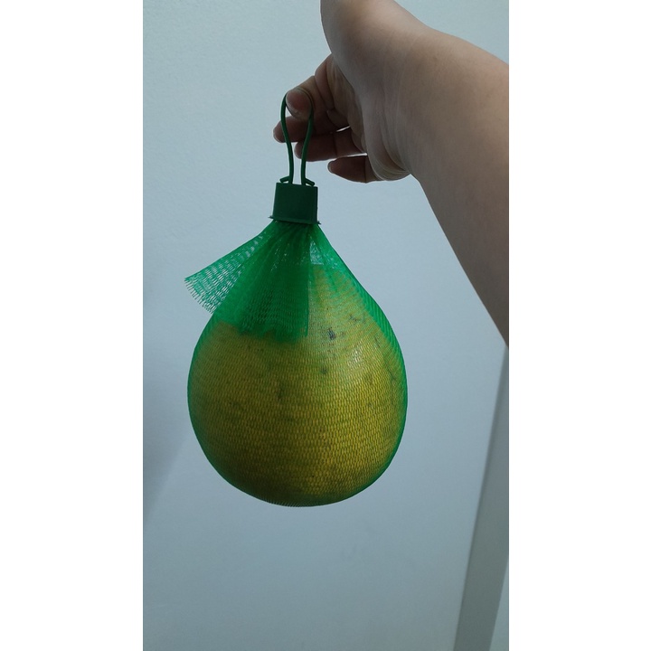 1 kg túi lưới màu xanh đựng nông sản, thạch rau câu...