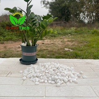 1kg Sỏi Trắng To (2 - 3 cm)  Trang Trí Hồ Cá, Chậu Cây Cảnh, Terrarium, Trang Trí Sân Vườn