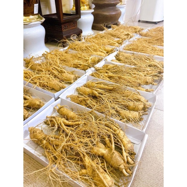 Hồng Sâm Sấy Dẻo