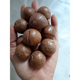 Hạt Macca Úc - 200G