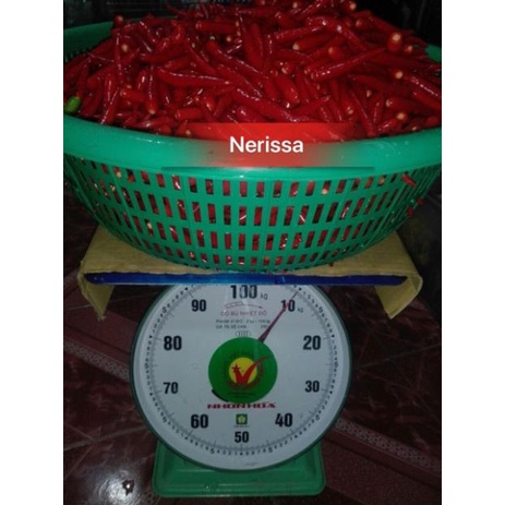 Nước chấm xoài thần thánh siêu đậm đặc