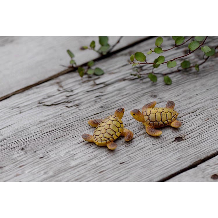 Mô hình con rùa biển kích thước 3x3,5cm  trang trí tiểu cảnh terrarium M2073