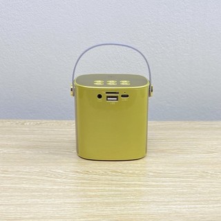 Loa Karaoke Bluetooth YS-101 Kèm 1 Micro Không Dây