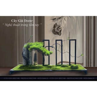 Bộ tiểu cảnh Bonsai cây giả trang trí bể cá, để bàn,...