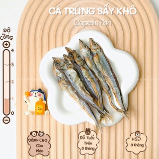 Treat Bánh Thưởng Cho Chó Mèo Cá Trứng Sấy Khô DOGGO Homemade Không Chất Bảo Quản 50G / Thức Ăn Cho Chó Thú Cưng