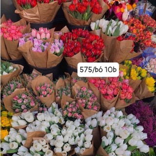 Hoa tulip tươi các màu | Ship hỏa tốc| Hoa tươi Gi.farm