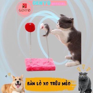 Bàn bông và thú nhùn đồ chơi cho mèo con