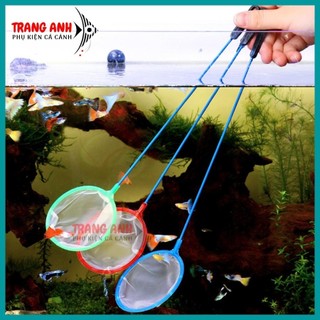 Vợt lưới bắt cá cảnh, tép mini - vợt lọc atermia và bobo cỡ nhỏ, tiện dụng
