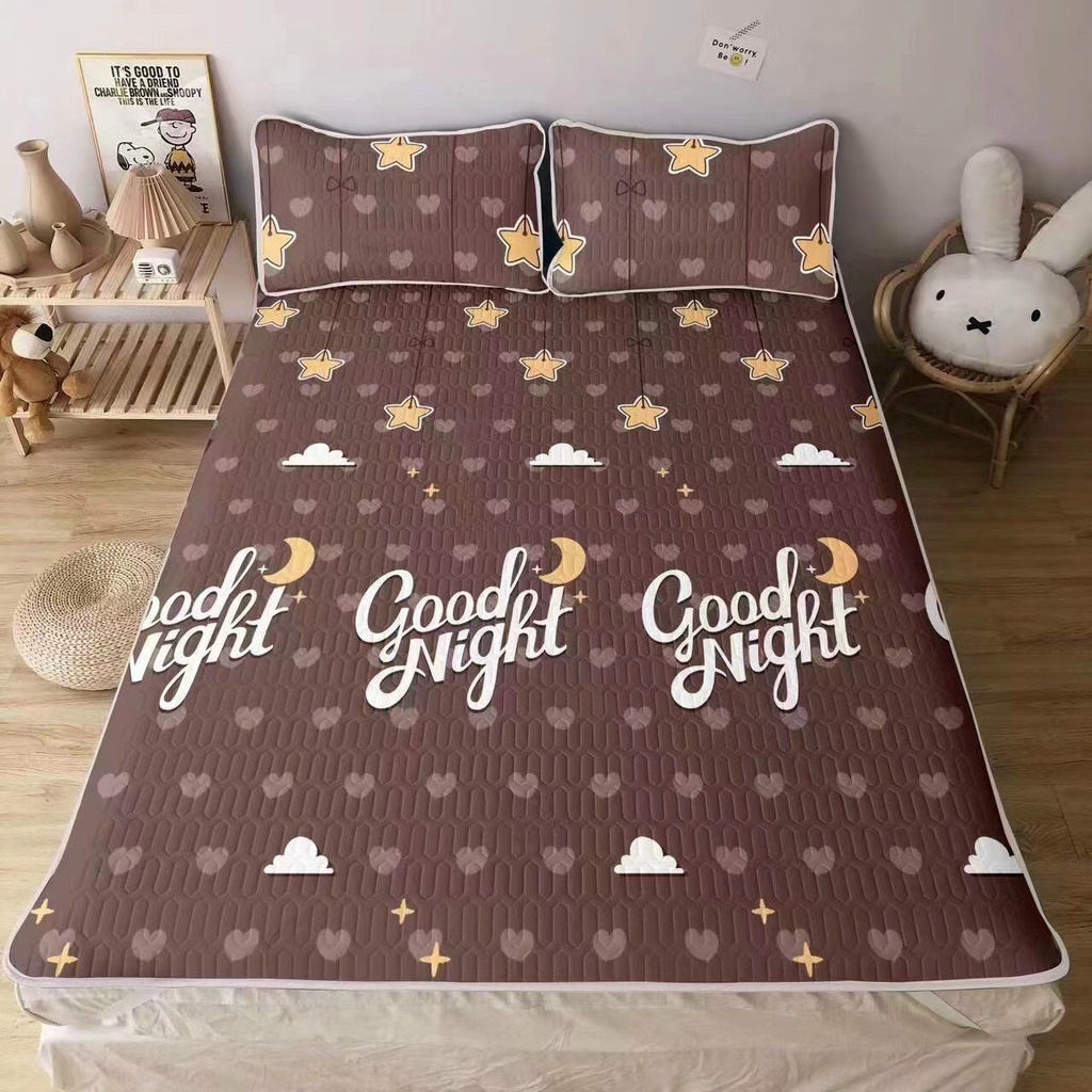 Chiếu Điều Hòa Cao Su Non 2d Cao Cấp Mát Lạnh, Cao Su Vải lụa Tencel  Latex Mềm Mịn Đủ kích thước m2/m6/m8/2m2