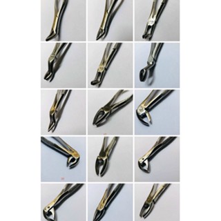 KÌM NHỔ RĂNG NGƯỜI LỚN PAKISTAN