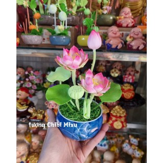 Chậu hoa sen bằng đất sét Nhật 20cm