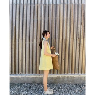 Đầm tiểu thư xinh xắn tt93