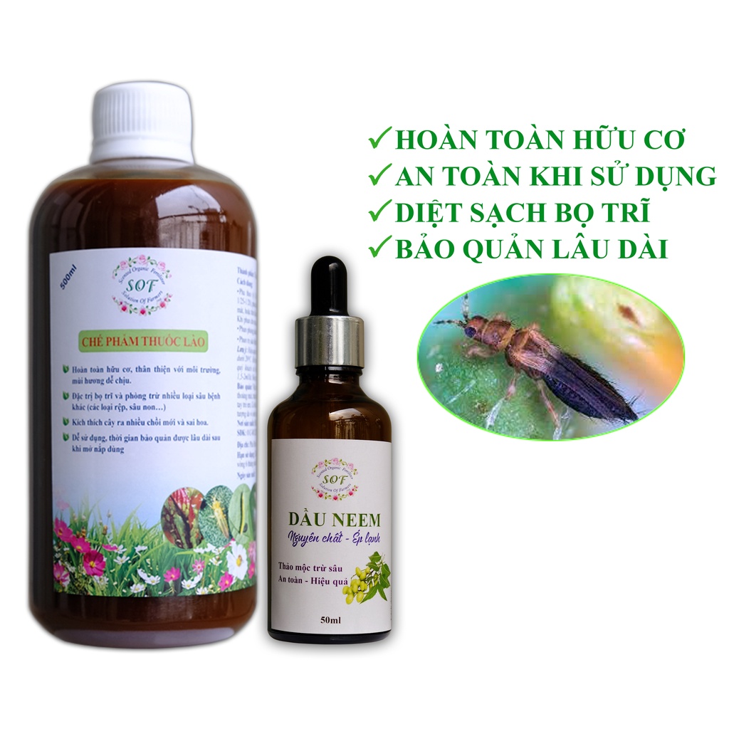 Thuốc sinh học đặc trị bọ trĩ trên hoa hồng, mai vàng…