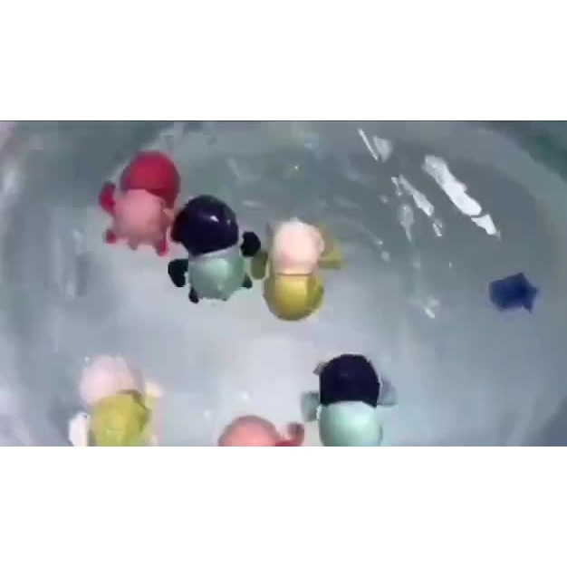 Đồ chơi chú rùa cót biết bơi nhà tắm siêu yêu cho bé