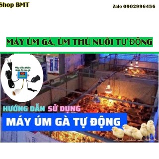 Máy úm gà, úm thú nuôi