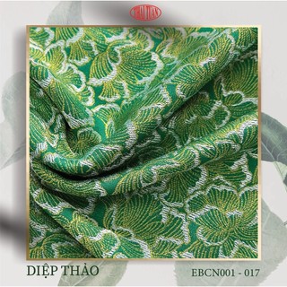 Tam sắc thái tuấn