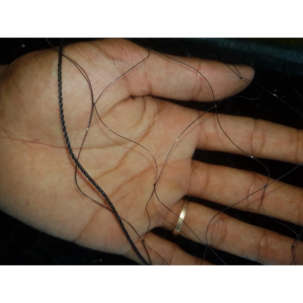 Lưới Dù Thái Màu Đen / Mắt lỗ 8 phân đánh Tổng Hợp Chim Lớn Ban đêm - Ban Ngày