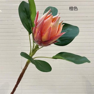 Hoa Hoàng Đế ( Hoa Giả)