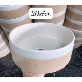 Chậu sứ ang tròn trồng cây