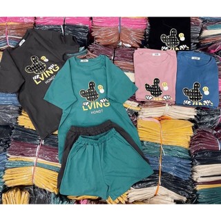 Bộ cotton khô sz 45-65kg