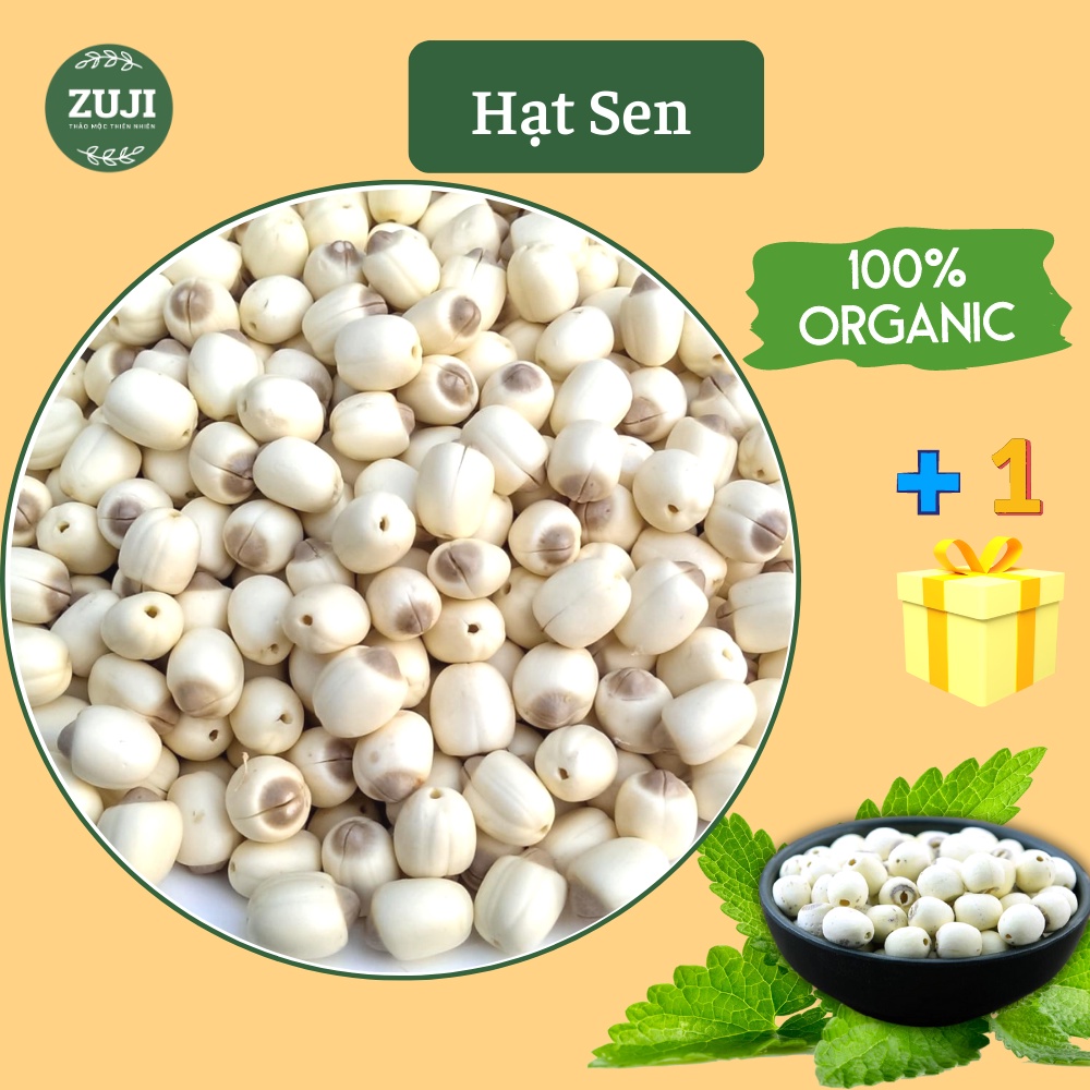 500g Hạt sen đồng tháp quả to cao cấp