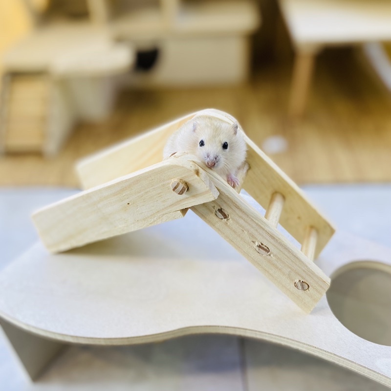 Thang gập gỗ thông cho hamster, sóc