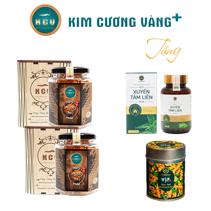 Combo 2 Hộp Đông Trùng Hạ Thảo Khô Kim Cương Vàng (Hộp 10G) - Tặng 1 Xuyên Tâm Liên + 1 Hộp Mứt Gừng Nghệ ĐTHT